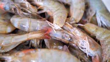 Sağlıklı deniz ürünleri, taze karides, balık, Makro. Bir sürü karides dönüyor..