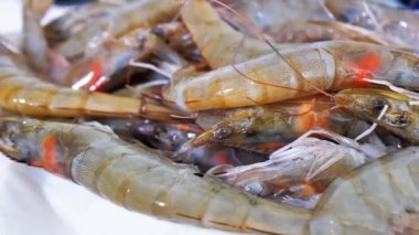 Sağlıklı deniz ürünleri, taze karides, balık, Makro. Bir sürü karides dönüyor..