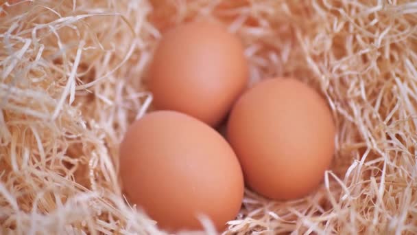 有机新鲜的白蛋和稻草上的褐色蛋 阳光明媚的早晨 在农场用鸡蛋筑巢 — 图库视频影像
