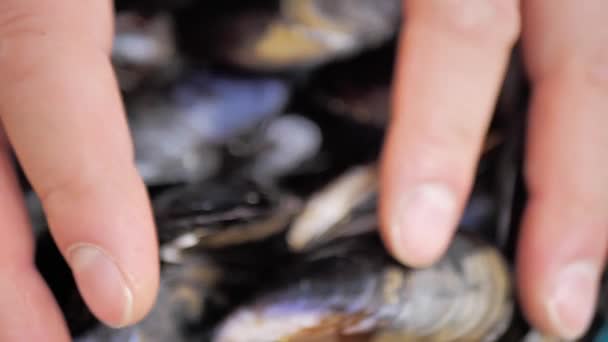 ムール貝を置くシェフや料理スタイリストの男性の手のクローズアップ — ストック動画