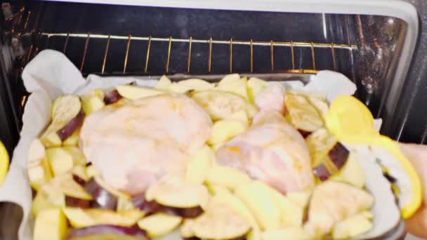 台所の背景にオーブンに七面鳥を入れて手 休日のお祝いのためのぬいぐるみ七面鳥料理 — ストック動画