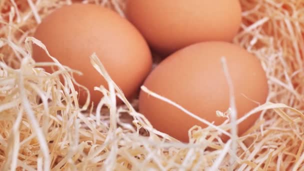 Organiczne Świeże Białe Jajko Brązowe Jajko Słomce Gniazdo Kurzymi Jajami — Wideo stockowe