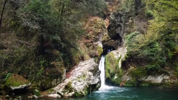 Cachoeira Bonita Verde Floresta Selvagem Vista Aérea Superior Tropical Selva — Vídeo de Stock