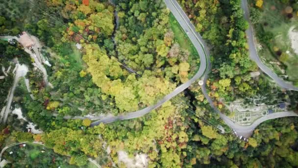 Drone Volando Por Encima Carretera Del Pueblo Rodeado Bosque Colorido — Vídeos de Stock