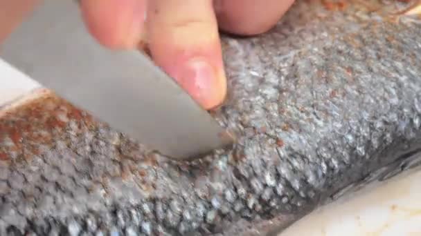 Barang Segar Dikupas Ikan Trout Dengan Lemon Bumbu Bumbu Dan — Stok Video