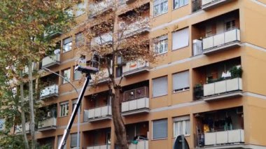 Servis çalışanları, vinç platformundaki elektrikli testereyle büyük ağaç dallarını kesiyorlar. Ormanların yok edilmesi ve bahçıvanlık kavramı.