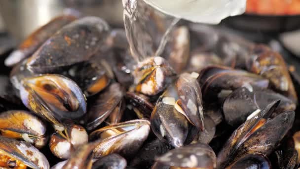 Cooked Mussels Close Steamed Clams White Wine — Stock Video