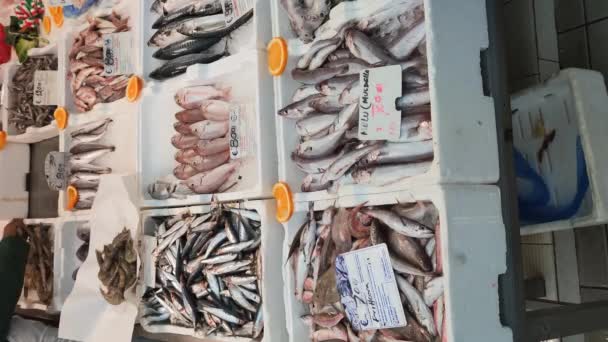 Разнообразие Свежей Рыбы Продаваемой Мокром Рынке — стоковое видео