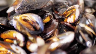 Bir büfe üzerinde bir büfe üzerinde tuzlu sos lu midye sote midye yakın bir görünümde taze otlar ile terbiyeli büyük bir tabak üzerinde görüntülenen.