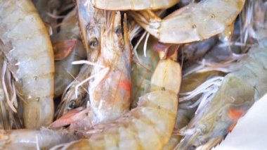 Karidesler Turntable 'da dönüyor. Beyaz Arka plan 'da izole edilmiş. Deniz ürünleri. Kapat..