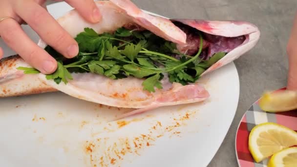 Γεμίζοντας Φρέσκο Ψάρι Μαϊντανό Λεμόνι Σκόρδο Και Μπαχαρικά Πριν Ψήσιμο — Αρχείο Βίντεο