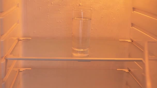 Пустом Холодильнике Вода — стоковое видео