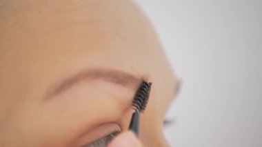 Eyebrow Makeup closeup, Green Eye of a Young Girl. Woman Combing her Eyebrow using a special Brush. Making Nude Makeup. Having clean Fresh Skin. Cosmetic Concept. Beauty Industry