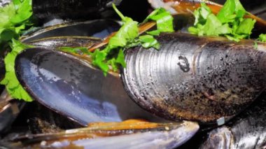 fresh mussels with herbs, rotation, close-up.