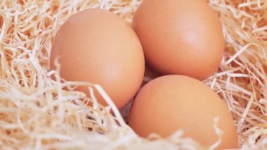 A farmer collects fresh chicken eggs in a chicken coop on a farm. A hand takes a brown chicken egg. 4K video.