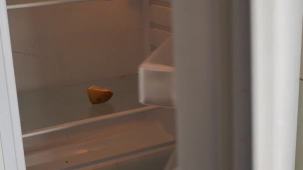 Открываю Холодильник Грязный Холодильник Лимоном Бедность Продовольственный Кризис Элемент Интерьера — стоковое видео
