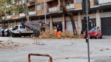Rome, Italy, December 31. 2022. city workers trim trees and remove dry branches from the streets. Italy Rome Thinning trees increases the amount of air and sunlight, which leads to fewer diseases