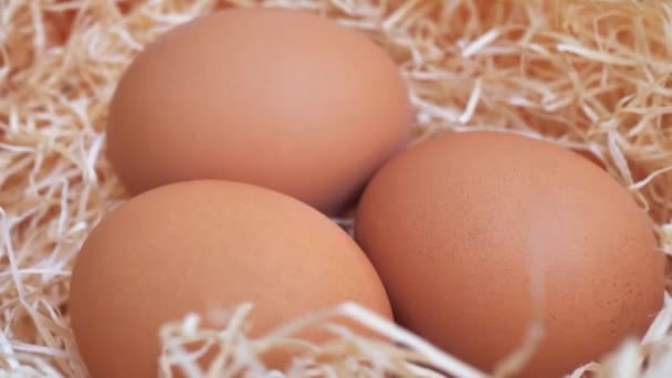 藁の上の有機新鮮な卵 農場に鶏の卵の巣 農家の手で朝食に卵を取ります 手は卵を取る — ストック動画