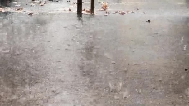 Regen Plonst Het Asfalt Zware Regen Close — Stockvideo