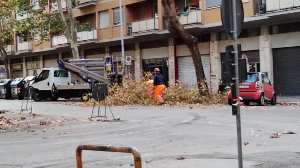 Rome Italy December 2022 City Workers Trim Trees Remove Dry — Stock video