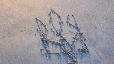 the coat of arms of Ukraine is drawn on the sand.