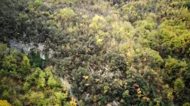 Autumn Forest Taken Height Shot Drone Autumn Forest Italy — Vídeo de stock