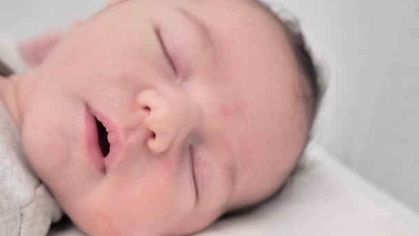 Close Portrait Face Sleeping Newborn Baby Macro — Vídeo de Stock