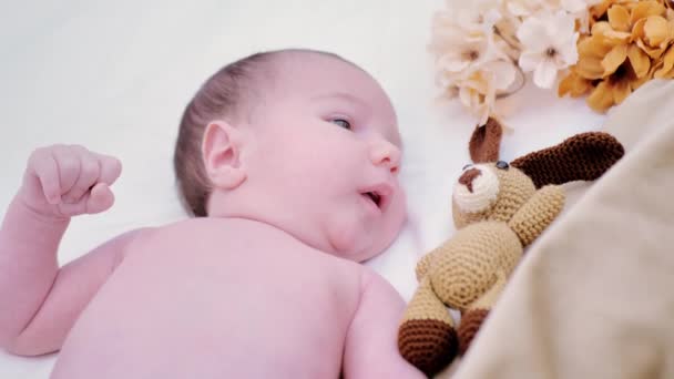 白い毛布の上に寝そべっている新生児の肖像画 — ストック動画