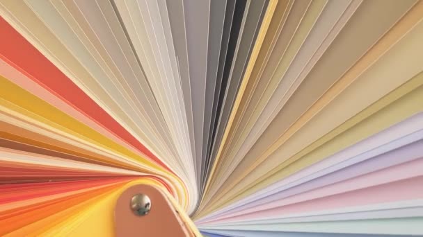 Graphic Designer Chooses Colors Color Palette Guide Discover Best Pantone — Stock Video