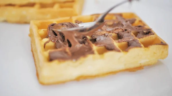 Waffles with chocolate paste, place for text with copy space.