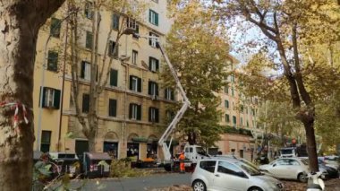 city workers trim trees and blow leaves off streets. Italy, Rome 2022.