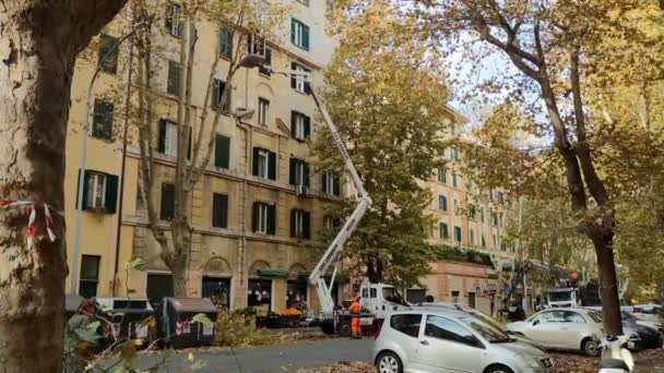 City Workers Trim Trees Blow Leaves Streets Italy Rome 2022 — Stockvideo