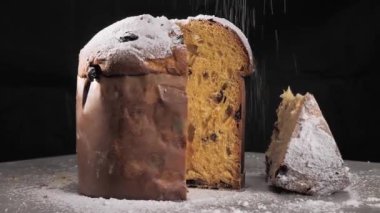 sprinkling with sweet powdered sugar Italian Pandora, a typical Christmas cake. Sliced panettone. Close up