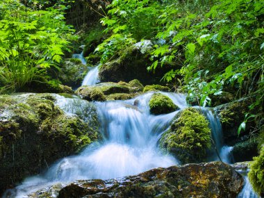 A beautiful waterfall in the middle of the forest near lake.
