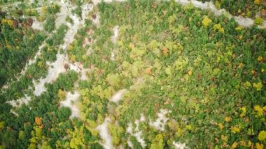Autumn view of the mountains of Italy. Beautiful autumn landscape with colorful trees. Aerial drone shot