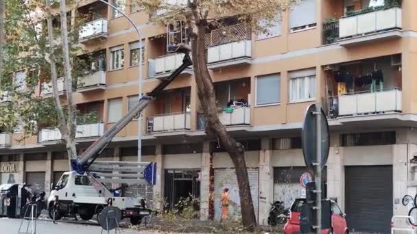 City Workers Trim Trees Blow Leaves Streets Italy Rome 2022 — Video