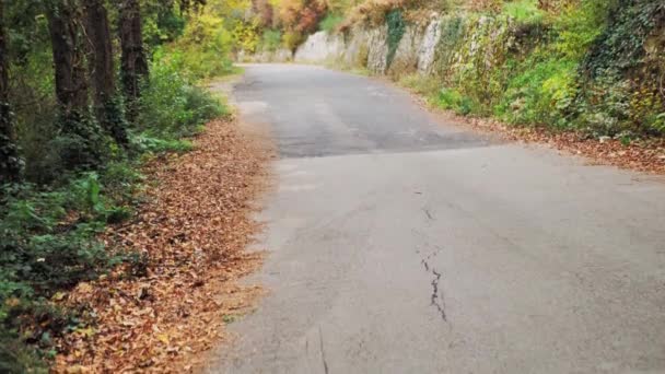 Ścieżka Pokryta Żółtymi Liśćmi Jesiennym Parku — Wideo stockowe