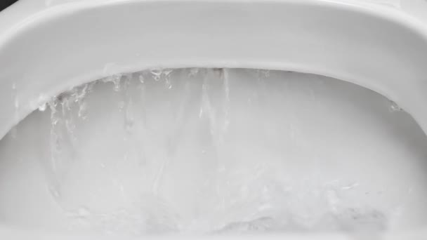 Sanita Nivelada Água Despeja Sanita Fluxo Água Claramente Visível Piscando — Vídeo de Stock