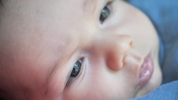 Close Newborn Baby Face Portrait Macro — 图库视频影像