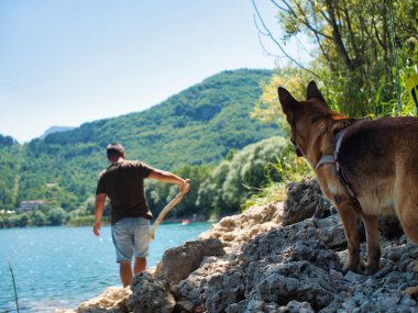 Alert German shepherd dog sitting on the edge of small lake