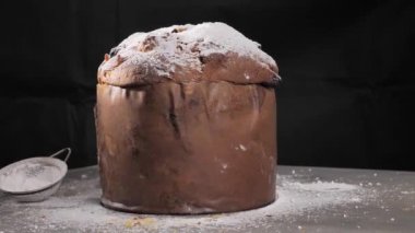 sprinkling with sweet powdered sugar Italian Pandora, a typical Christmas cake. Sliced panettone. Close up