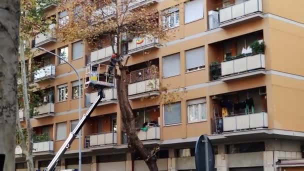 City Workers Trim Trees Blow Leaves Streets Italy Rome 2022 — Video