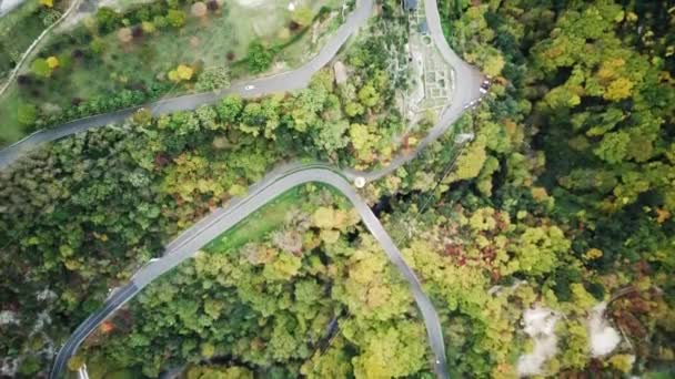 在山上的秋天的森林里用无人机拍摄的录像 — 图库视频影像