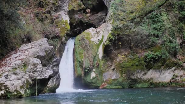 Beautiful Waterfall Green Forest Waterfall Forest Big Waterfall — Stockvideo