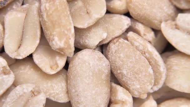 Heiß Geröstete Erdnüsse Geschälte Erdnüsse Gemahlene Nüsse Würzige Erdnüsse Rotieren — Stockvideo