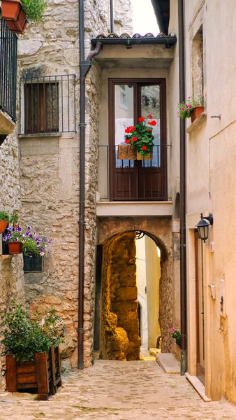 意大利古村落狭窄街道上的盆栽植物和花卉 — 图库照片