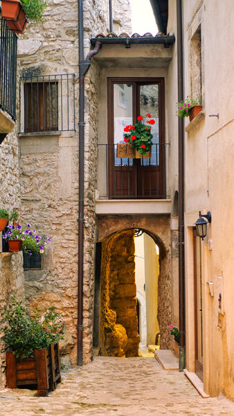Plants and flowers in pots on narrow streets of the ancient village of Italy.