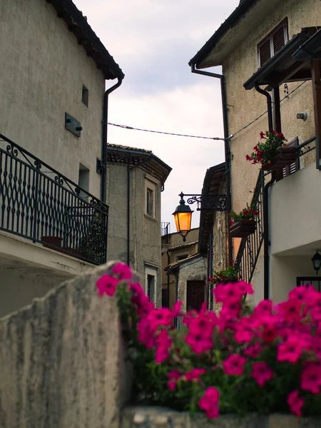 意大利 一个阳光普照的小镇 奇幻的花朵点缀着一条阳光普照的狭窄街道 楼梯点缀着 — 图库照片