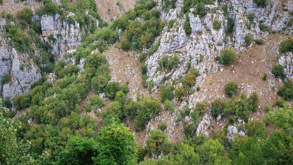 Vegetação Montanha Rochosa Close Belas Pedras Afiadas Entre Gramíneas Close — Fotografia de Stock