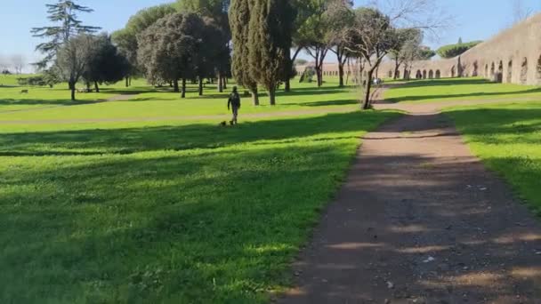 一个男人带着一只狗在绿草茂密的公园里散步 — 图库视频影像